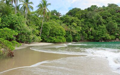 A Journey Through Costa Rica’s Central & South Pacific Paradise