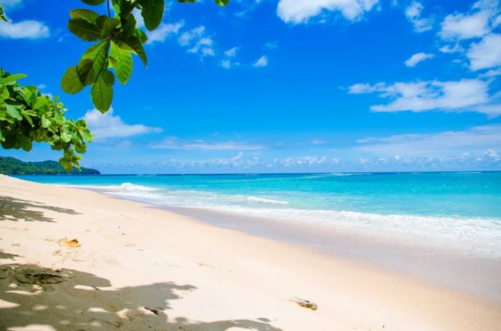 Costa Rica’s Pacific vs. Caribbean: Choosing Your Perfect Coastal Escape