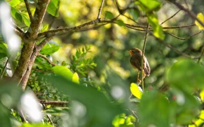 Save Time And Money With Our Costa Rica Expeditions