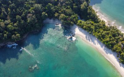 How To Enjoy Manuel Antonio in Costa Rica